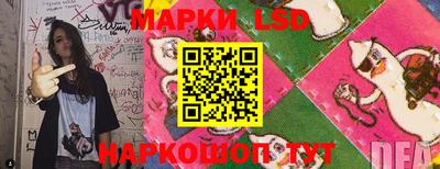 крисы Краснодар