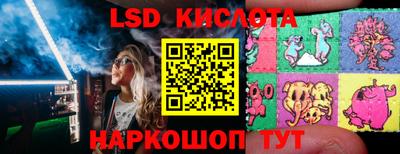 крисы Краснодар